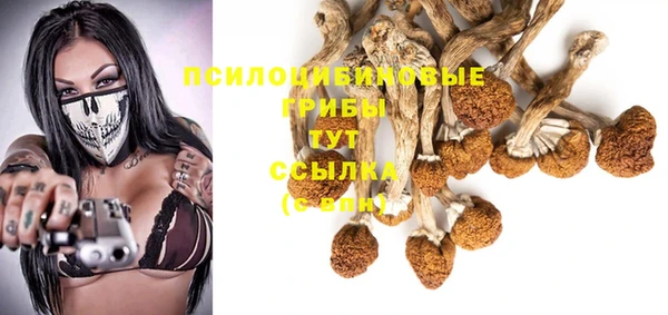 дурь Алексеевка